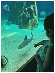 IMG_6667
