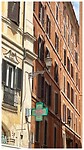 IMG_7051