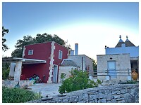 IMG_7453