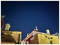 IMG_7461