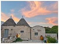 IMG_7491