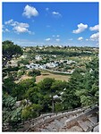 IMG_7520