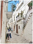 IMG_7533