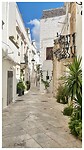 IMG_7535