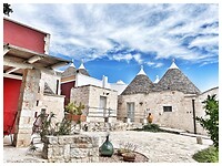 IMG_7674