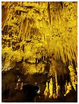 IMG_4243