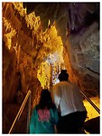 IMG_4246