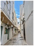 IMG_7699