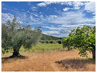 IMG_7827