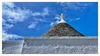 IMG_7830