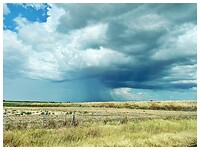 IMG_7843