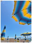 IMG_7887