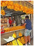 IMG_7925