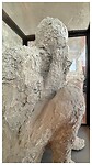 IMG_7939