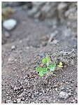 IMG_8055