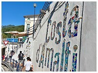 IMG_8239