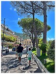IMG_8410