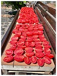 IMG_8418