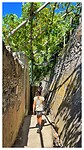 IMG_8425