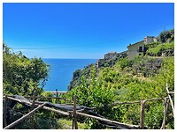 IMG_8428
