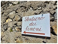 IMG_8429
