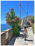 IMG_8454