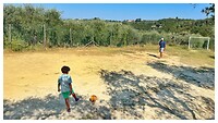 IMG_8517