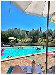 IMG_8520