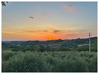 IMG_8530