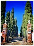 IMG_8541