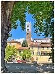 IMG_8554