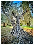 IMG_8597