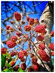 IMG_8605