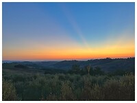 IMG_8650