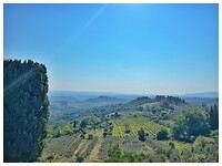 IMG_8651