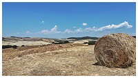 IMG_8681