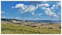 IMG_8718
