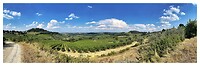IMG_8735
