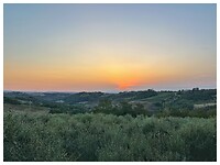 IMG_8756