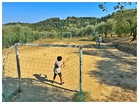 IMG_8769