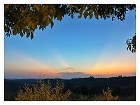 IMG_8813