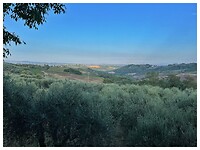 IMG_8821