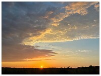 IMG_8834