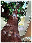 IMG_7397