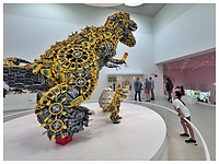 IMG_7409
