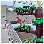 IMG_7510
