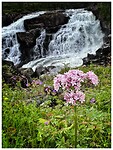 IMG_8060