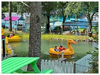 IMG_8102