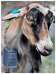 IMG_8297