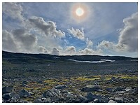 IMG_8416